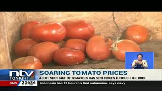 Acute tomato shortage sends prices through the roof [upl. by Ecniuq]