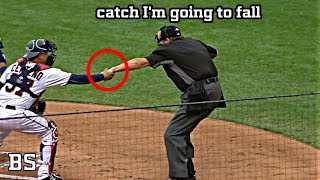 Umpire hit by foul ball in baseball  MLB [upl. by Akcire]