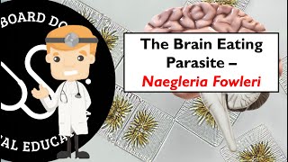 The Brain Eating Parasite And Another Death  Naegleria Fowleri [upl. by Sobmalarah]