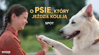 O PSIE KTÓRY JEŹDZIŁ KOLEJĄ  Gorące serce zimny nos  Kino Świat [upl. by Tomasz]