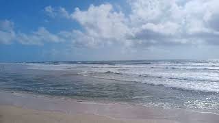 Fraser Island Eastern Beach Weed Jan 2024 [upl. by Nnoved]