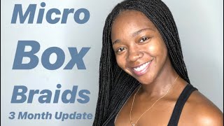 Micro Box Braids 3 Month Update [upl. by Atiniv]