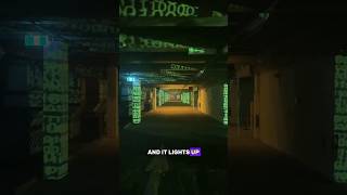 Inside Abandoned Railway Tunnels in Sydney vividsydney darkspectrum [upl. by Anoy]