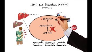 Pharmacology  DRUGS FOR HYPERLIPIDEMIA MADE EASY [upl. by Oicnaneb]