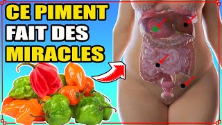 PIMENT Bienfaits et Dangers du PIMENT amp COMMENT LUTILISER POUR SE SOIGNER [upl. by Atteloc]