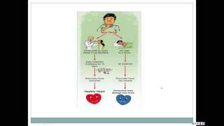 Rheumatic Fever amp Rheumatic Carditis D Lee [upl. by Laram]