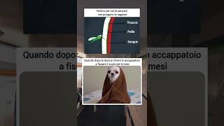 Zanzare x ragazze 😂 memes memeita memesdaily scuola divertente [upl. by Noman]