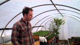 11 Ways to Regulate the Temperature in the Greenhouse [upl. by Johppa850]