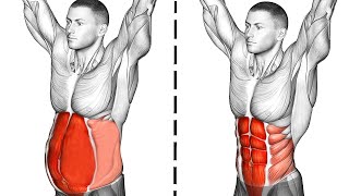 Abs Workout Abdominal Exercises [upl. by Fredric882]