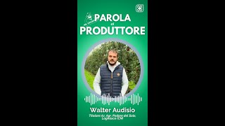 Parola al produttore Walter Audisio [upl. by Akimyt235]