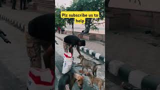 Humanity firstprotectstraydogs doglover status pets ytshorts viralvideo [upl. by Ordnas]