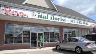 Ital Florist  Toronto Flower Delivery [upl. by Mareah450]