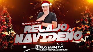 RELAJO NAVIDEÑO 🎄  DJ TAZMANIA EL DEMONIO DE LAS MEZCLAS LoMejor DeLaCumbiasNavideñas [upl. by Kilbride603]