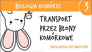 Cytologia 3  Transport przez błony komórkowe  biologia liceum poziom rozszerzony matura [upl. by Aimekahs]