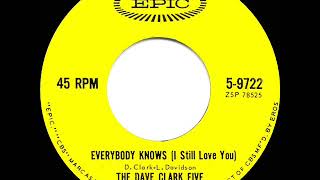 1964 HITS ARCHIVE Everybody Knows I Still Love You  Dave Clark Five [upl. by Retsel474]