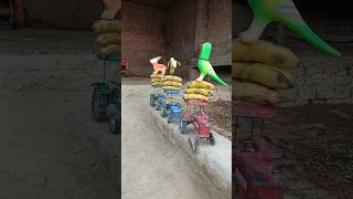 Teen tractor Dharm se niche gir gai funny bulldozer baba jindabad tractor ok mam Chand [upl. by Halimaj]