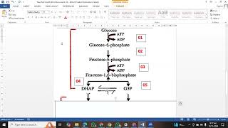 Glycolysis  Cellular Respiration  EMP Pathway  KIPS [upl. by Ailsun436]