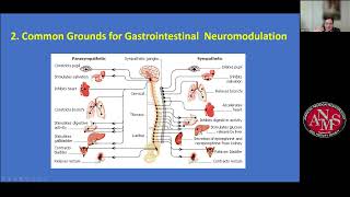 What‘s behind the positive effects of neuromodulation on gut function [upl. by Samuela]