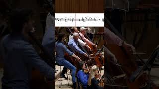 Beethoven Symphony No 3 Movement II [upl. by Malik]