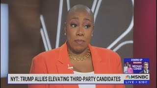 Symone Sanders amp MSNBC are 100 LIARS  TFNOriginal FactChecker [upl. by Lia]