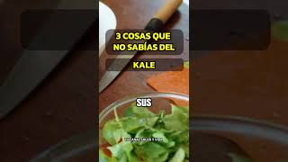 3 BENEFICIOS DE LA COL RIZADA KALE QUE TE SORPRENDERÁN estilodevida saludables kale [upl. by Edlyn215]