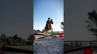 His overjump is insane 😂😂 horse equestrian pony [upl. by Darcie857]