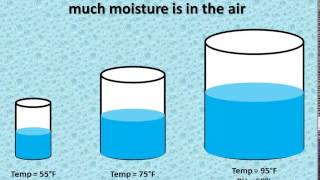 Relative Humidity vs Dewpoint [upl. by Kcirddahc]