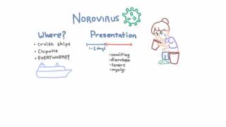 Norovirus  Epidemiology Clinical Presentation and Prevention [upl. by Eseryt288]