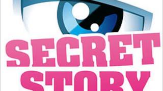 Secret Story  quotIci la voixquot amp quotCest tout pour le momentquot [upl. by Anesusa]