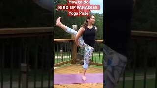 Bird of Paradise Yoga Pose [upl. by Avery85]