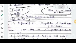 Soil Microflora  Whats soil Microflora  Type of Microorganism [upl. by Atekehs]