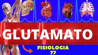 GLUTAMATO  NEUROTRANSMISSOR FISIOLOGIA DE GUYTON  FISIOLOGIA DO GLUTAMATO  NEUROFISIOLOGIA [upl. by Atinat887]