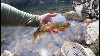 Perfect Alpine Lake Fishing for CUTTHROATS [upl. by Jp]