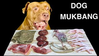 ASMR MUKBANG Pitbull Eating Raw Foods Sheep kidney Quail Chicken feet Pork ribs Omasum Lamb [upl. by Akirea]