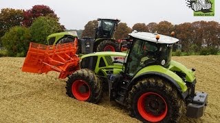 Claas Xerion 5000 en Claas Axion 950 op de maiskuil Trekkerweb [upl. by Riem]