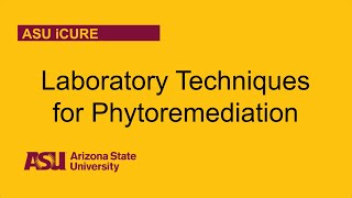 Laboratory Techniques For Phytoremediation [upl. by Cherilyn]