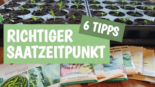 Jungpflanzenanzucht Teil 1  6 Tipps zum richtigen Saatzeitpunkt 🌱 [upl. by Harlene]