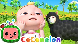 Baa Baa Black Sheep  CoComelon Animal Time  Animal Nursery Rhymes [upl. by Nirel]