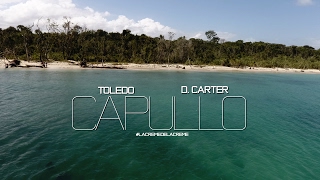 Toledo Ft D Carter  Capullo Video Oficial 2017 LaCremeDeLaCreme [upl. by Iasi]