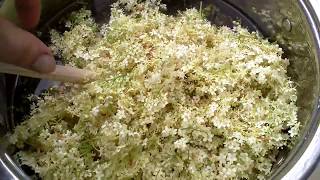 HOW TO MAKE REAL ENGLISH ELDERFLOWER CORDIAL By The Backyard Vegan [upl. by Ralina877]