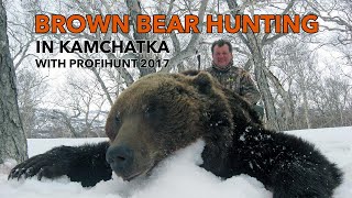 Brown Bear hunting in Kamchatka with ProfiHunt 2017 [upl. by Ynots]