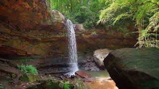 🌳Música relaxante  Som de cachoeira e pássaros para acalmar a mente e relaxar 3h33min cachoeira v2 [upl. by Zeiler]