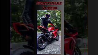 Ducati Panigale V4 Sonido [upl. by Moreland232]