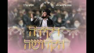 Hershy Bleich  Purim Medley Rekidei Hakedushaסט פורים חסידי  רקידה הקדושה [upl. by Lauro915]