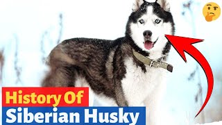 quotSiberian Symphony A Tale of the Husky Heritagequot [upl. by Skell53]