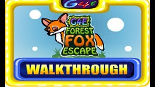 G4E Forest Fox Escape walkthrough Games4Escape [upl. by Eceeryt]