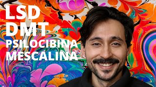 Psicodélicos  LSD DMT Psilocibina e Mescalina  psicoterapia dissolução do ego microdosing etc [upl. by Silra]