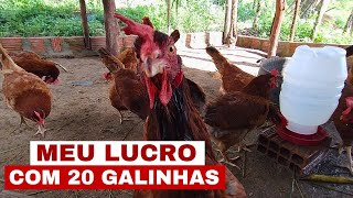 QUANTO DÁ PRA GANHAR COM 100 GALINHAS GALINHAS POEDEIRAS [upl. by Fu]