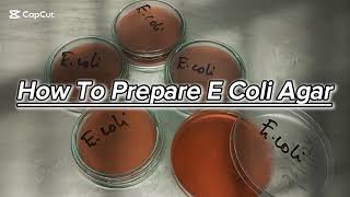 PREPARATION OF ESCHERICHIA COLI  Ecoli AGAR [upl. by Alram340]