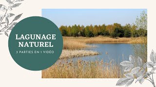 COURS COMPLET TRAITEMENT DES EAUX PAR LAGUNAGE NATUREL [upl. by Initirb]